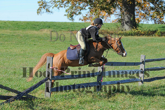 Cheshire(10-19-14)0538