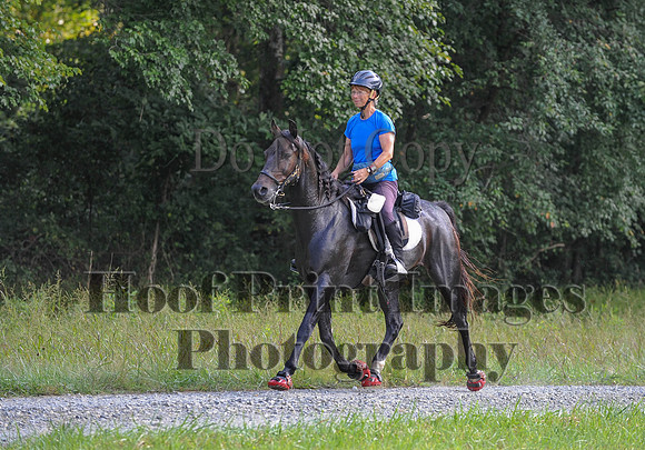 ChesapeakeCTR(9-20-14)0333
