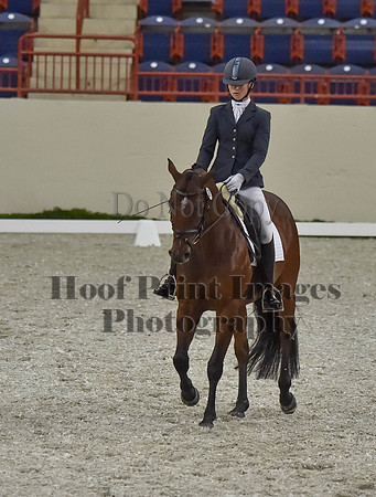 CWdressageI(8-20-16)0335