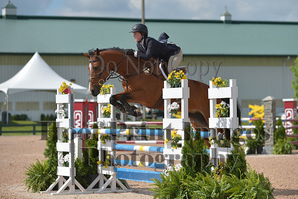 BRSa(5-17-14)HChAdJ0093