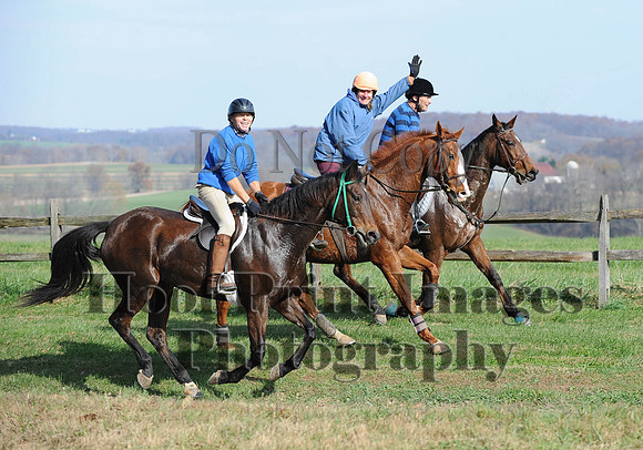 AndrewsBr(11-9-14)0229