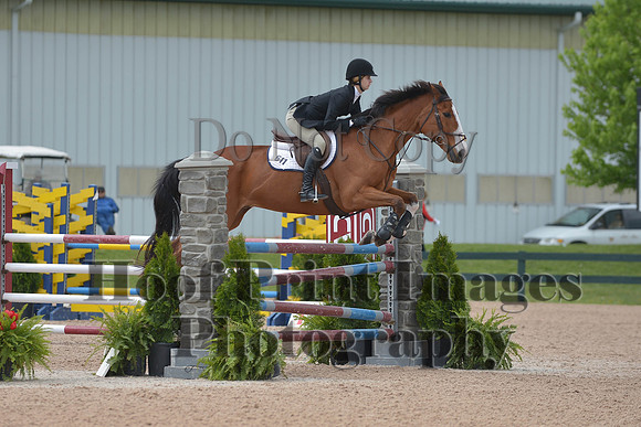 BRSa(5-17-14)HChAdJ0191
