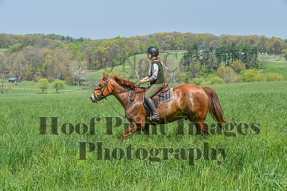 CheshireSpringPC1(4-28-24)0284