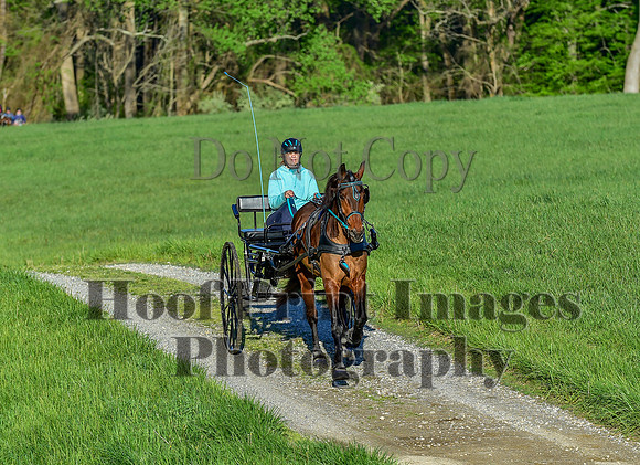 ChesapeakeSpring(4-27-25)0035