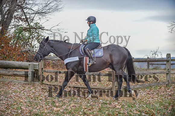 AndrewsBrHuntPace(11-10-24)0088