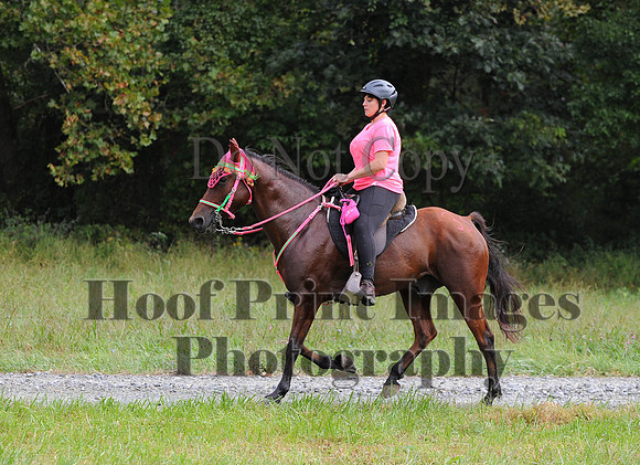 ChesapeakeCTR(9-20-14)0280