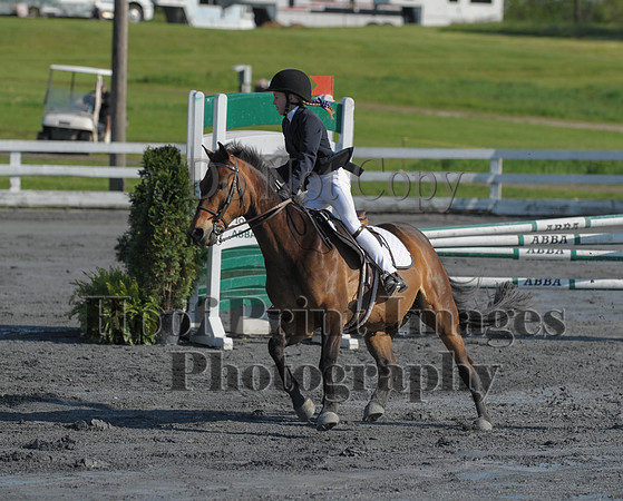 StCSu(5-12-13)PJmp0051