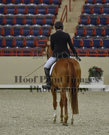 CWdressageI(8-20-16)0494