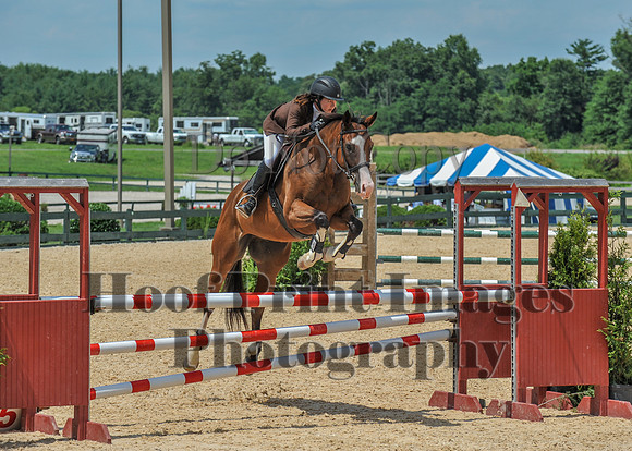 Mason-Dixon1(7-28-18)0459