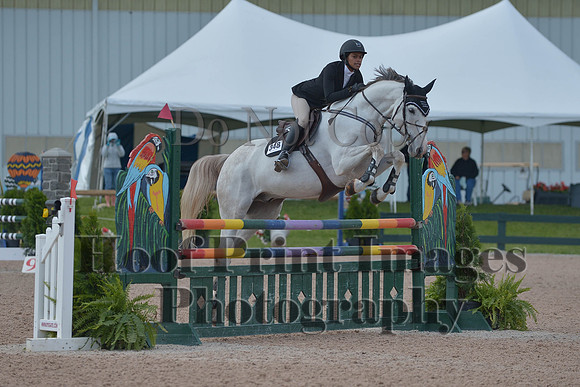 BRSa(5-17-14)HChAdJ0133