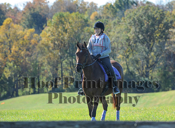 Cheshire(10-19-14)0298