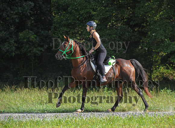 ChesapeakeCTR(9-20-14)0194
