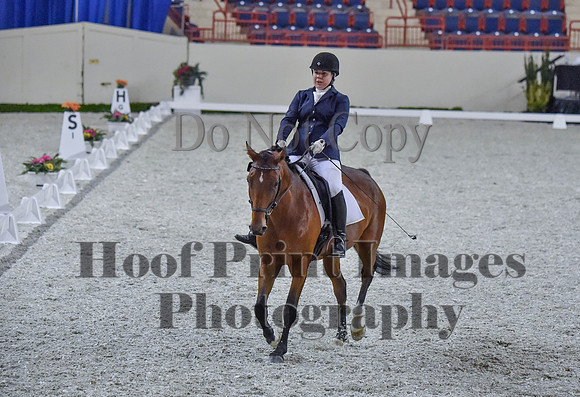 CWdressageI(8-20-16)0394