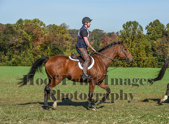 CheshirePC(10-18-20)0261