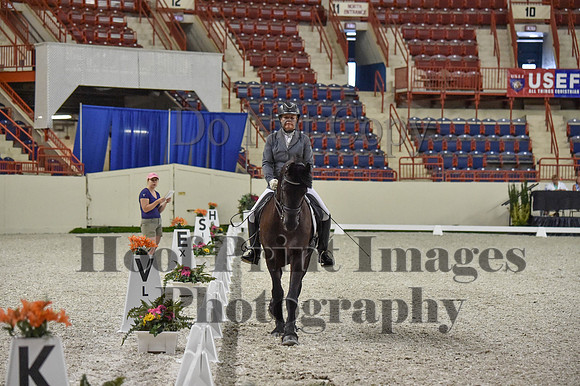 CWdressageI(8-20-16)0928
