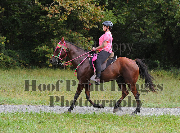 ChesapeakeCTR(9-20-14)0281
