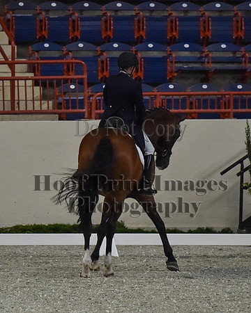 CWdressageII(8-21-16)0753