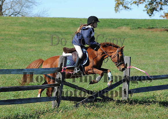 Cheshire(10-19-14)0164