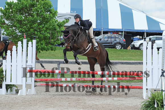 BRSa(5-17-14)0.8mJCl0053