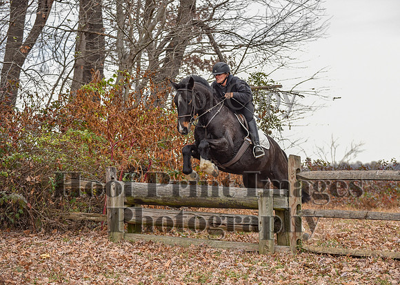 AndrewsBrHuntPace(11-10-24)0097