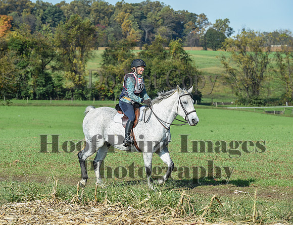 CheshirePC(10-18-20)0110