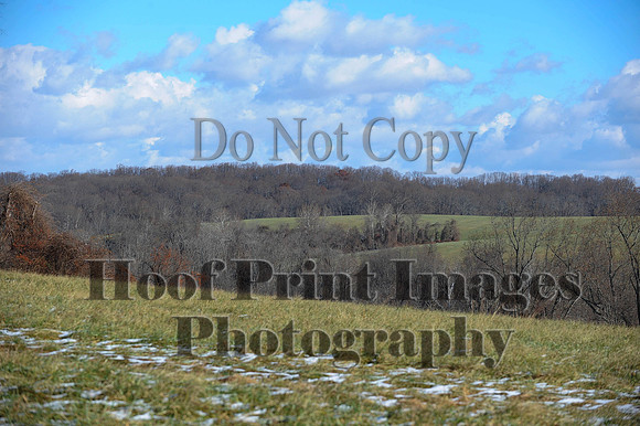 FairHill(11-28-14)0008