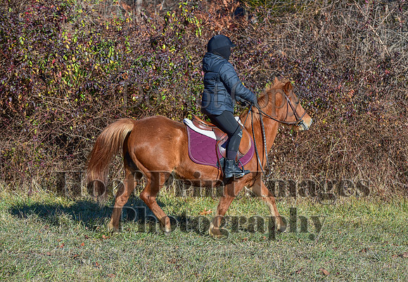 FairHillFallPC(11-30-24)0229