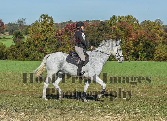 CheshirePC(10-18-20)0188