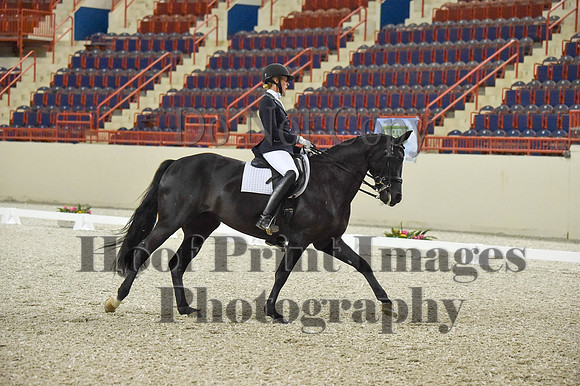 CWdressageI(8-20-16)0963