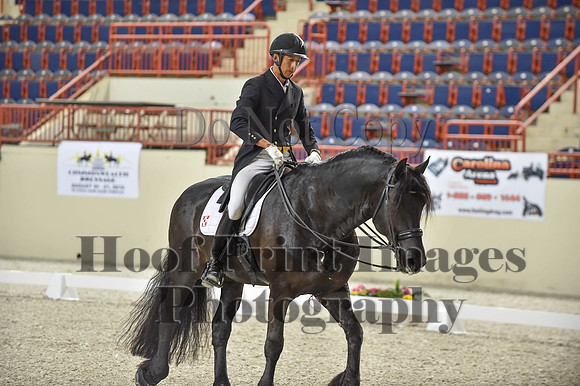 CWdressageI(8-20-16)1679