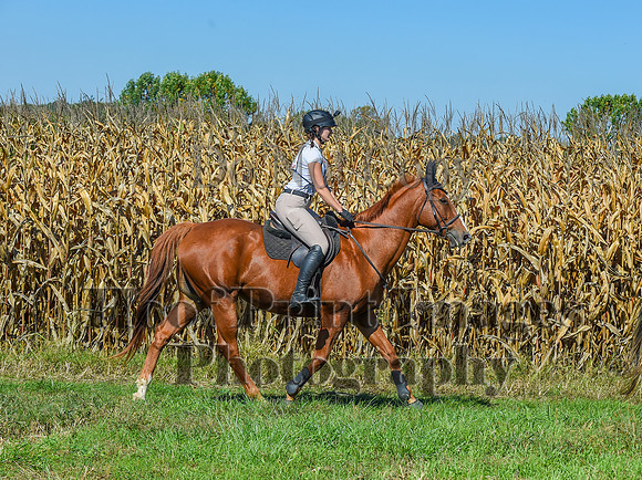 CheshirePonyClubPC(10-6-24)0523