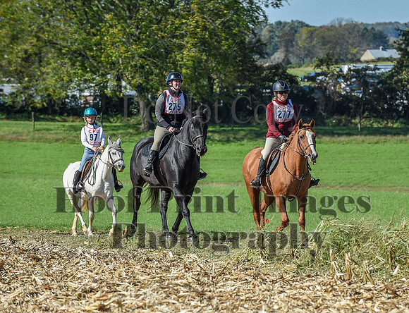 CheshirePC(10-18-20)0598