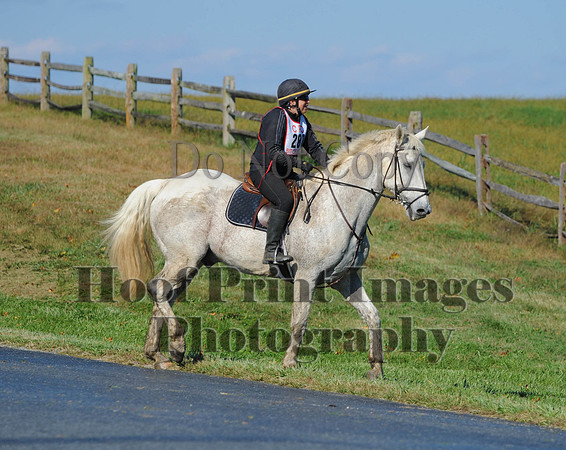 Cheshire(10-20-13)0669