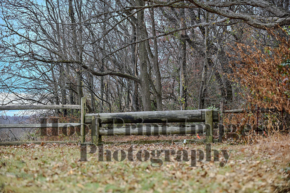 AndrewsBrHuntPace(11-10-24)0248