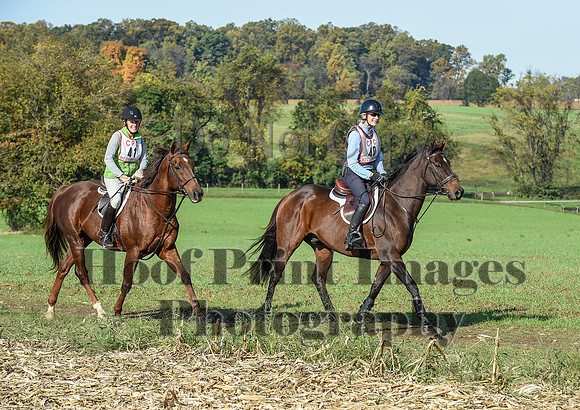 CheshirePC(10-18-20)0084