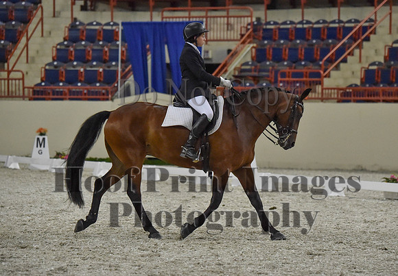 CWdressageI(8-20-16)1295