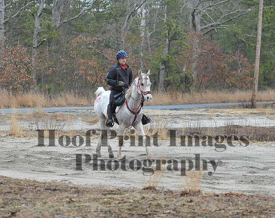 Rabbit(3-29-14)0125