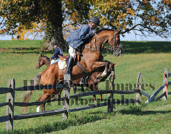 Cheshire(10-20-13)0336