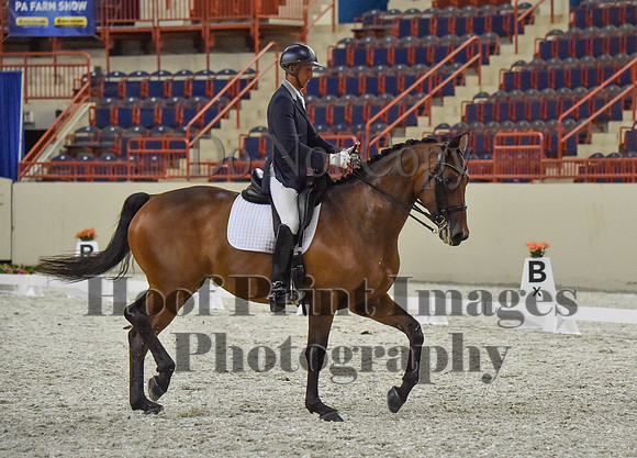 CWdressageI(8-20-16)1349
