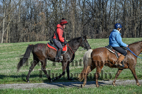 ChesapeakeSpring(4-10-22)0442