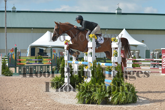 BRSa(5-17-14)HChAdJ0071