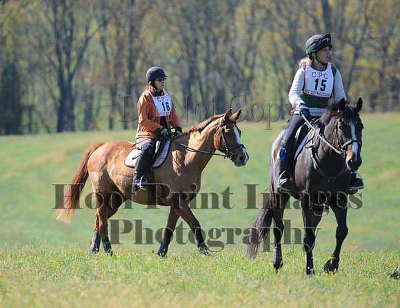 Cheshire(10-20-13)0434