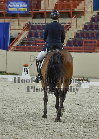 CWdressageI(8-20-16)1356