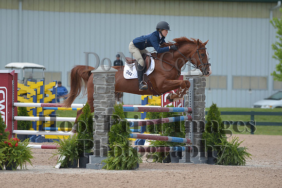 BRSa(5-17-14)HChAdJ0208