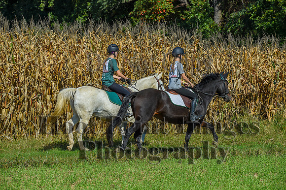 CheshirePonyClubPC(10-6-24)0550