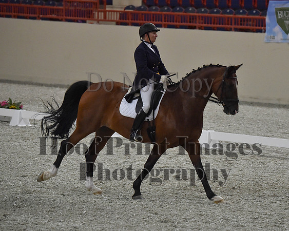 CWdressageII(8-21-16)0773