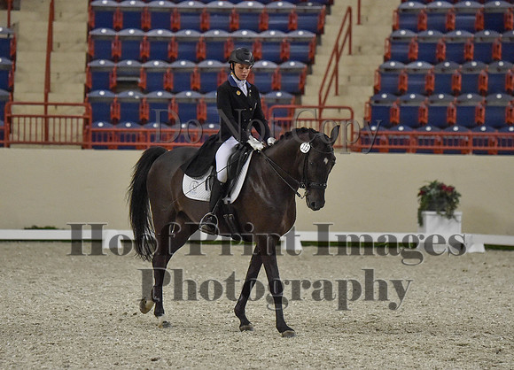 CWdressageI(8-20-16)0698