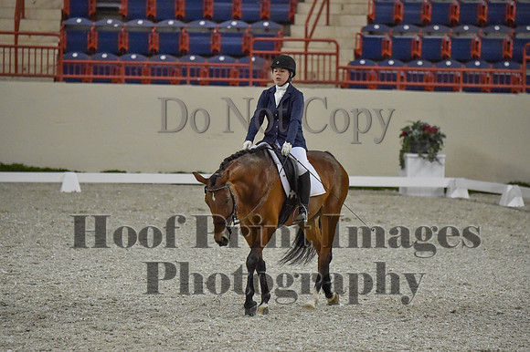 CWdressageI(8-20-16)0399