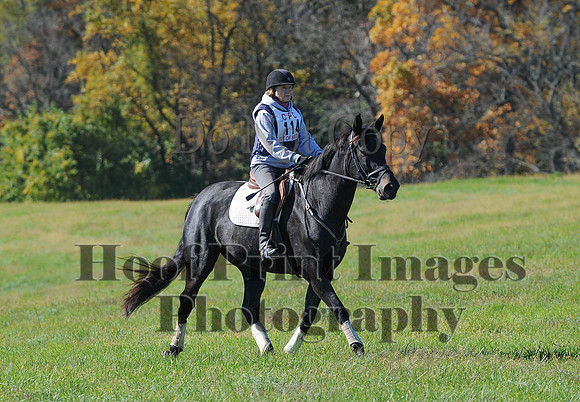 Cheshire(10-19-14)0146