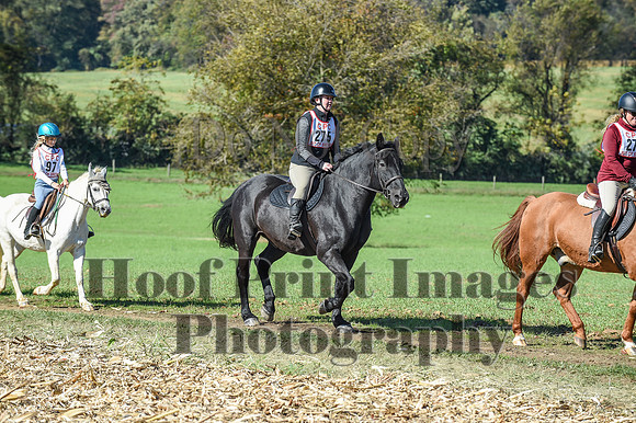 CheshirePC(10-18-20)0608